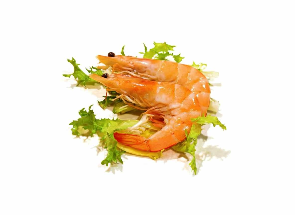 Langostino Cocido